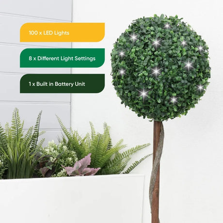 Solar Single Bay Ball Tree In Pot