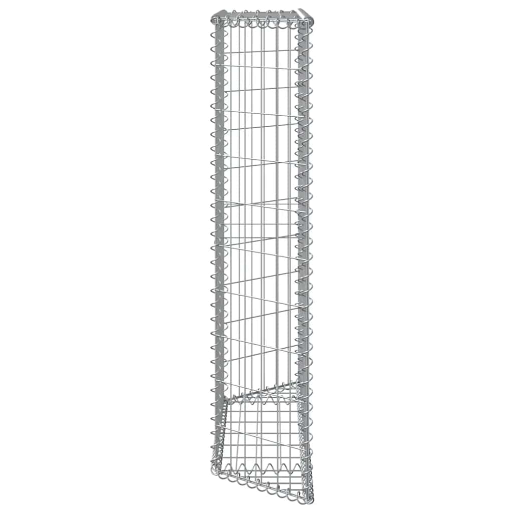 Trapezium Gabion Raised Bed Galvanised Steel 100x20x100 cm