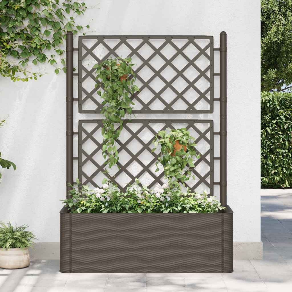 Garden Raised Bed with Trellis and Self Watering System Mocha