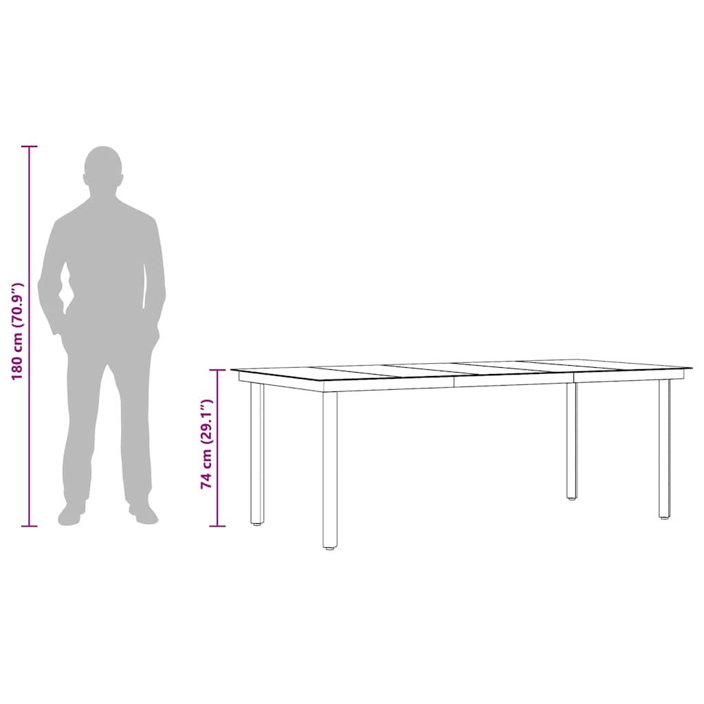 Garden Dining Table Black 200x100x74 cm Steel and Glass