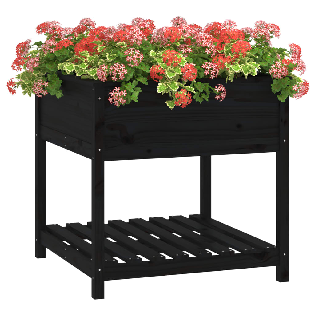 Planter with Shelf Black 82.5x82.5x81 cm Solid Wood Pine