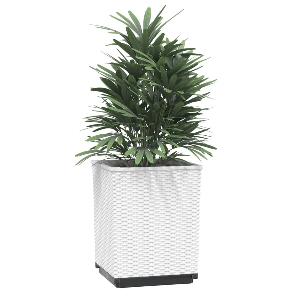 Planters 2 pcs White 30x30x37 cm Polypropylene