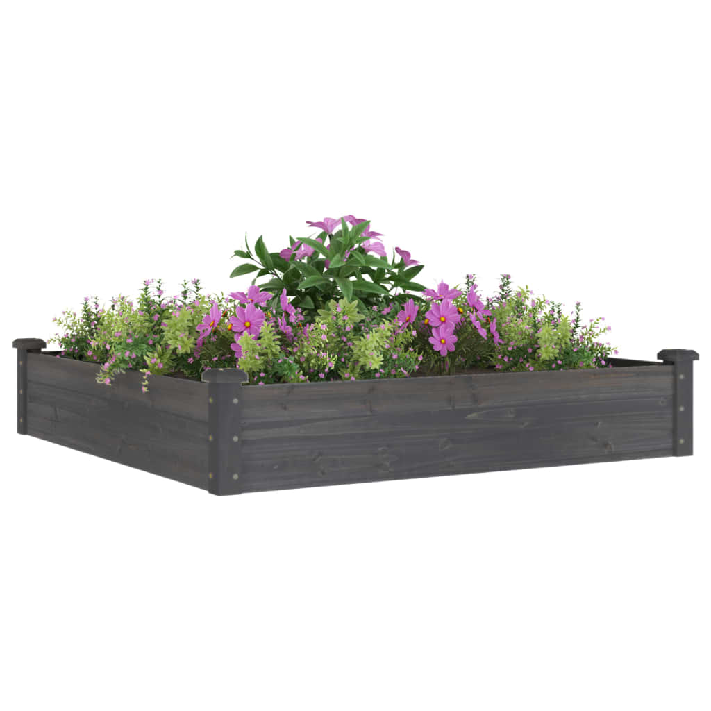Garden Raised Bed with Liner Grey 120x120x25 cm Solid Wood Fir