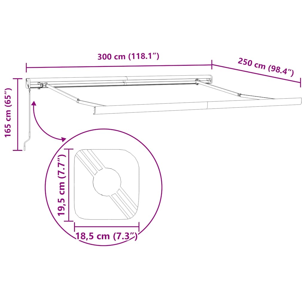 Manual Retractable Awning Brown 300x250 cm
