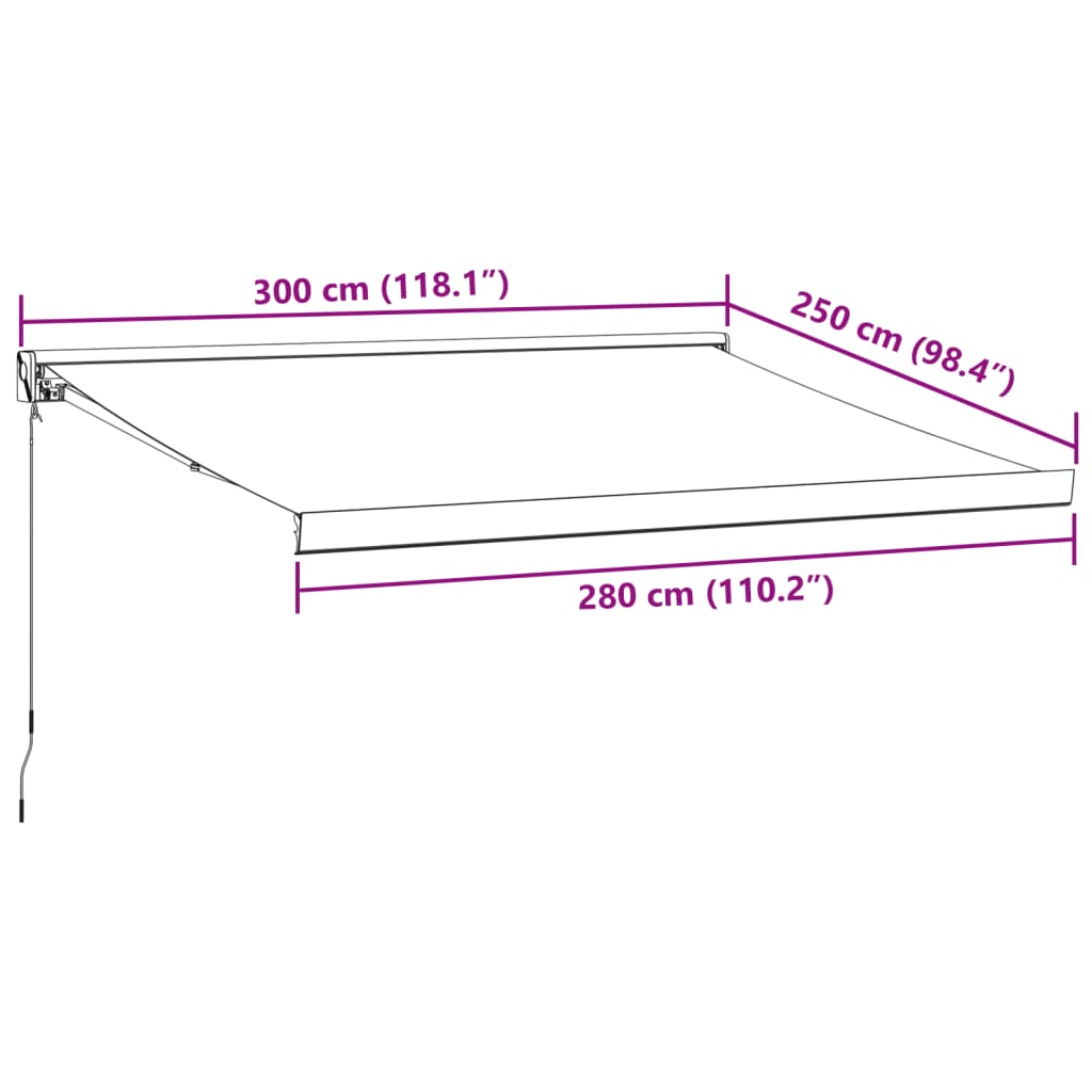 Manual Retractable Awning Brown 300x250 cm