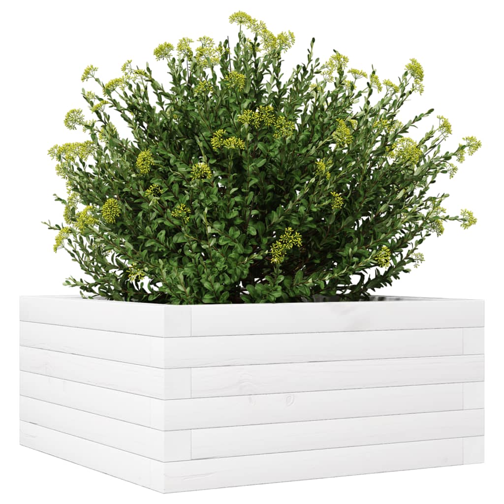 Garden Planter White 50x50x23 cm Solid Wood Pine
