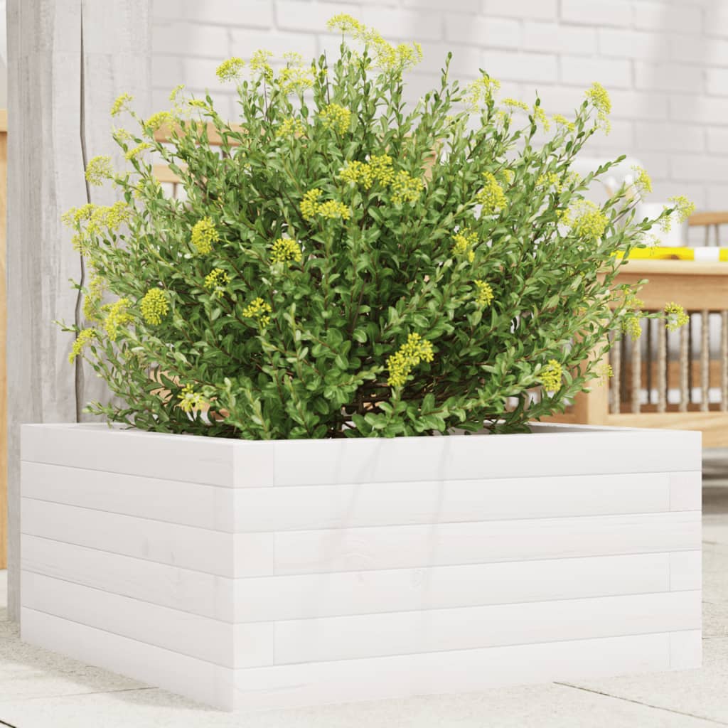 Garden Planter White 50x50x23 cm Solid Wood Pine