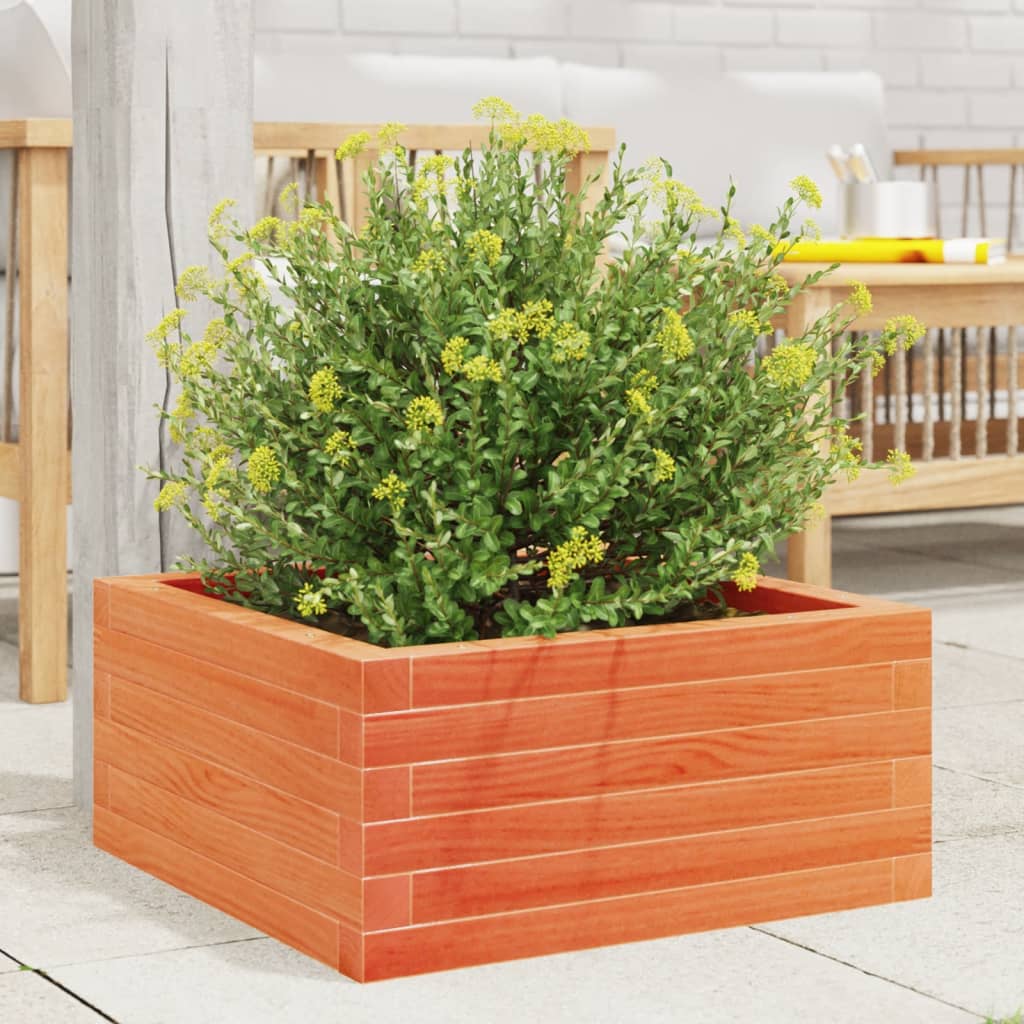 Garden Planter Wax Brown 60x60x23 cm Solid Wood Pine
