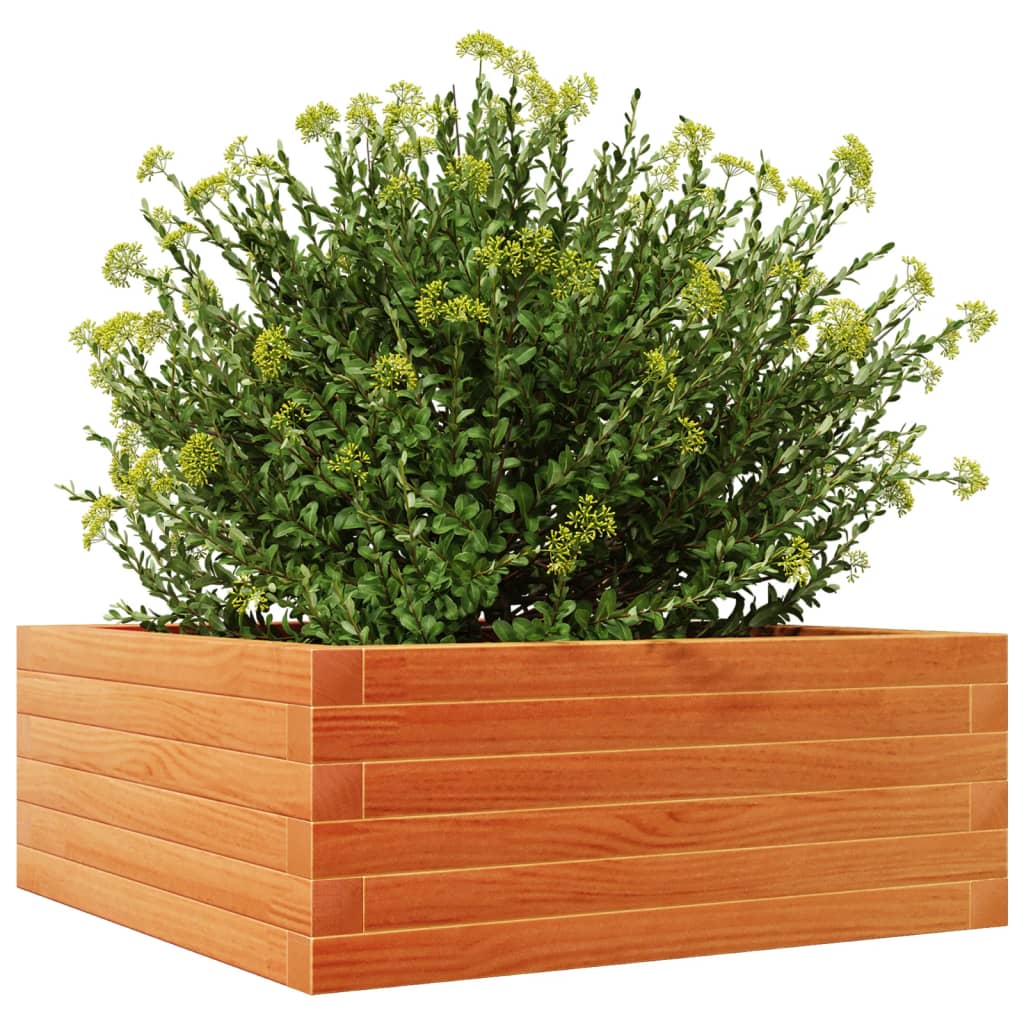 Garden Planter Wax Brown 60x60x23 cm Solid Wood Pine