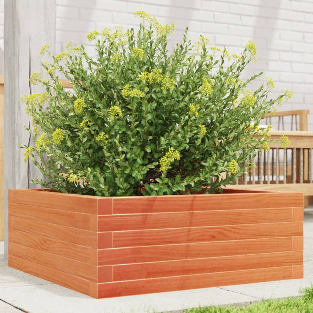 Garden Planter Wax Brown 60x60x23 cm Solid Wood Pine
