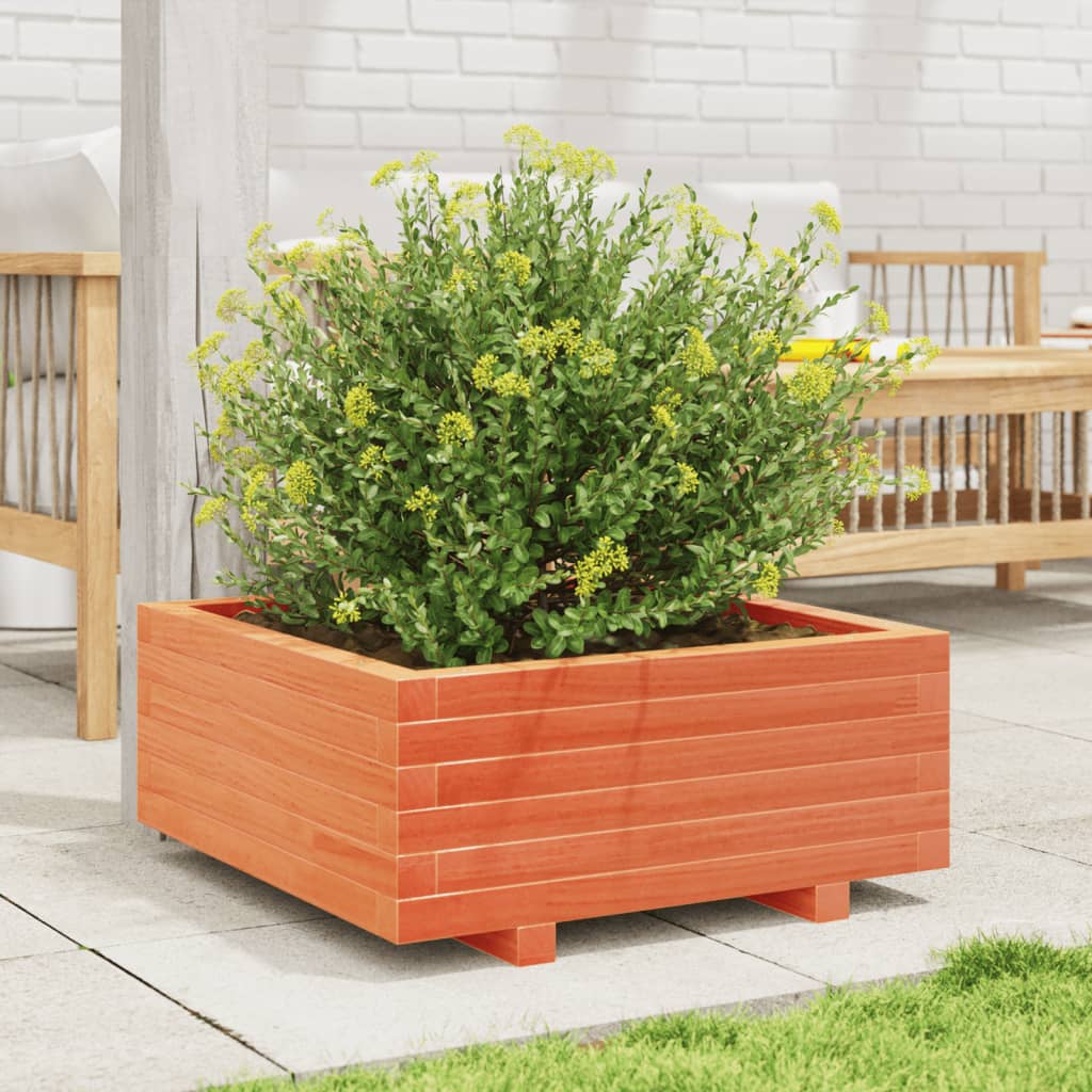 Garden Planter Wax Brown 60x60x26.5 cm Solid Wood Pine