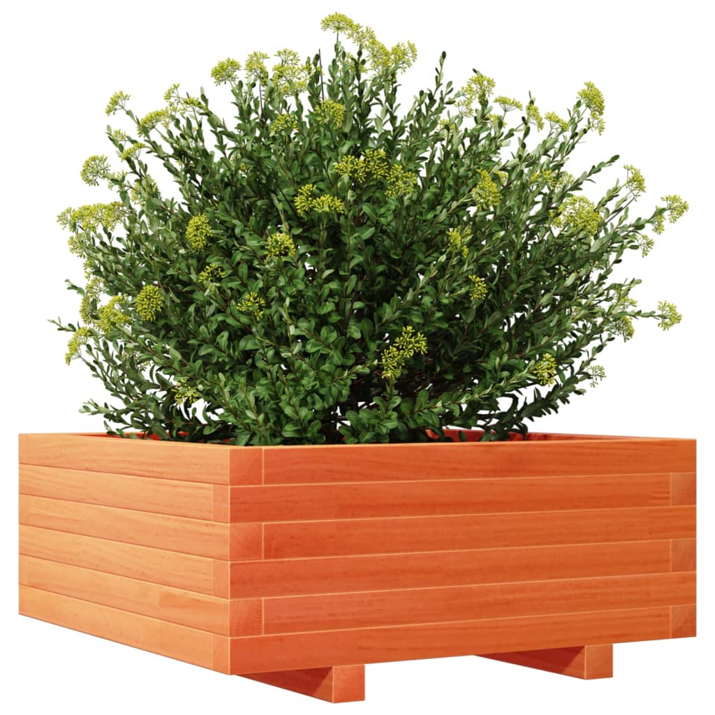 Garden Planter Wax Brown 60x60x26.5 cm Solid Wood Pine
