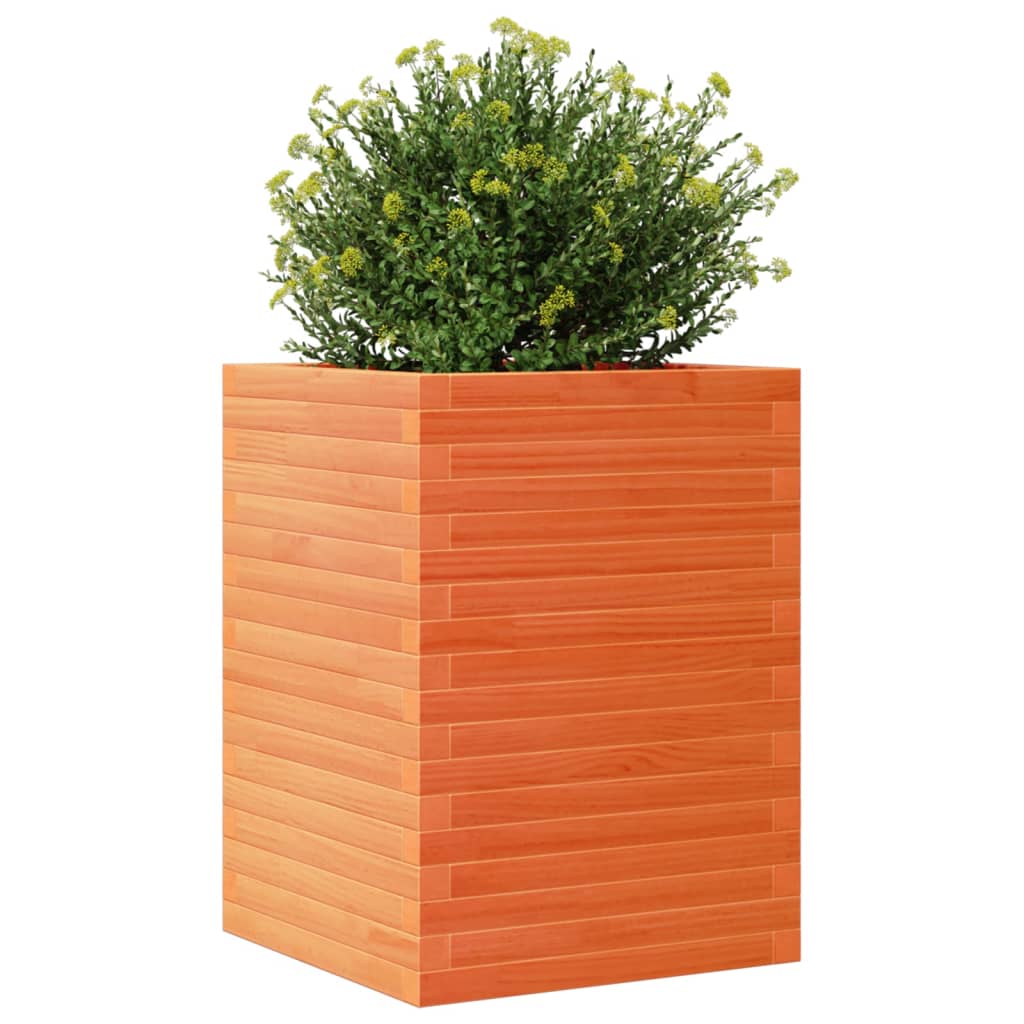 Garden Planter Wax Brown 50x50x68.5 cm Solid Wood Pine