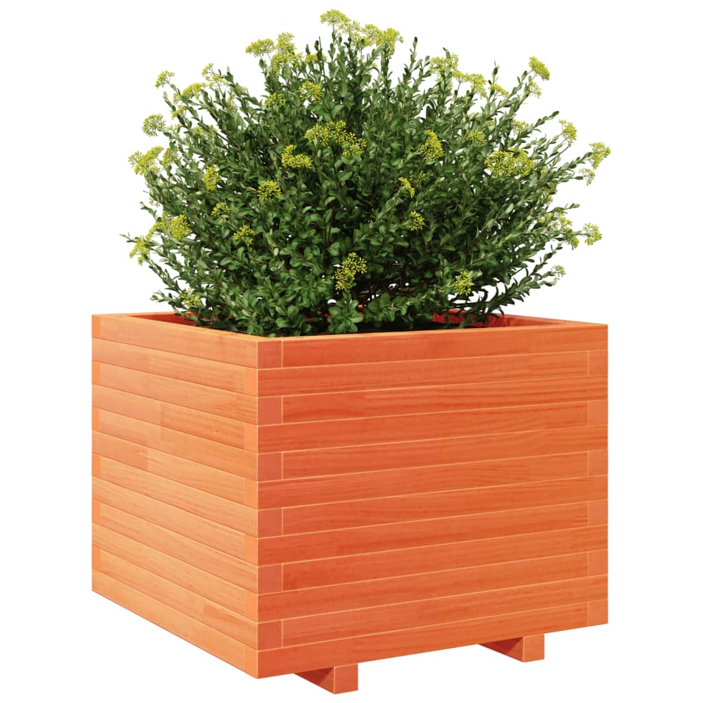Garden Planter Wax Brown 60x60x49.5 cm Solid Wood Pine