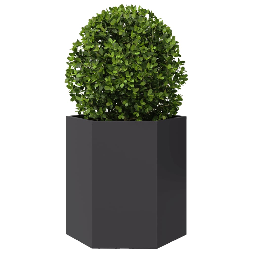 Garden Planter 2 pcs Black Hexagon 46x40x45 cm Steel
