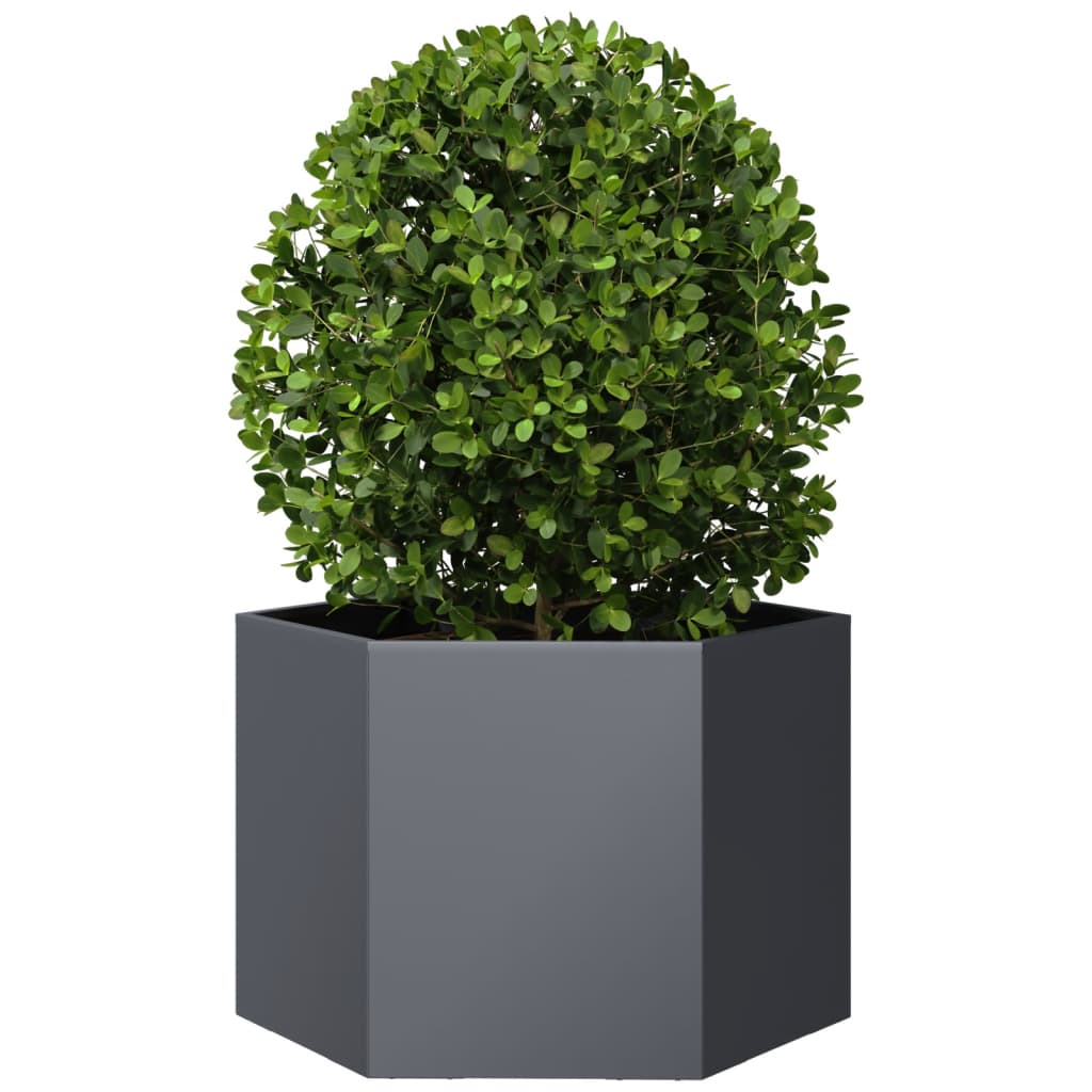Garden Planter Anthracite Hexagon 69x60x45 cm Steel