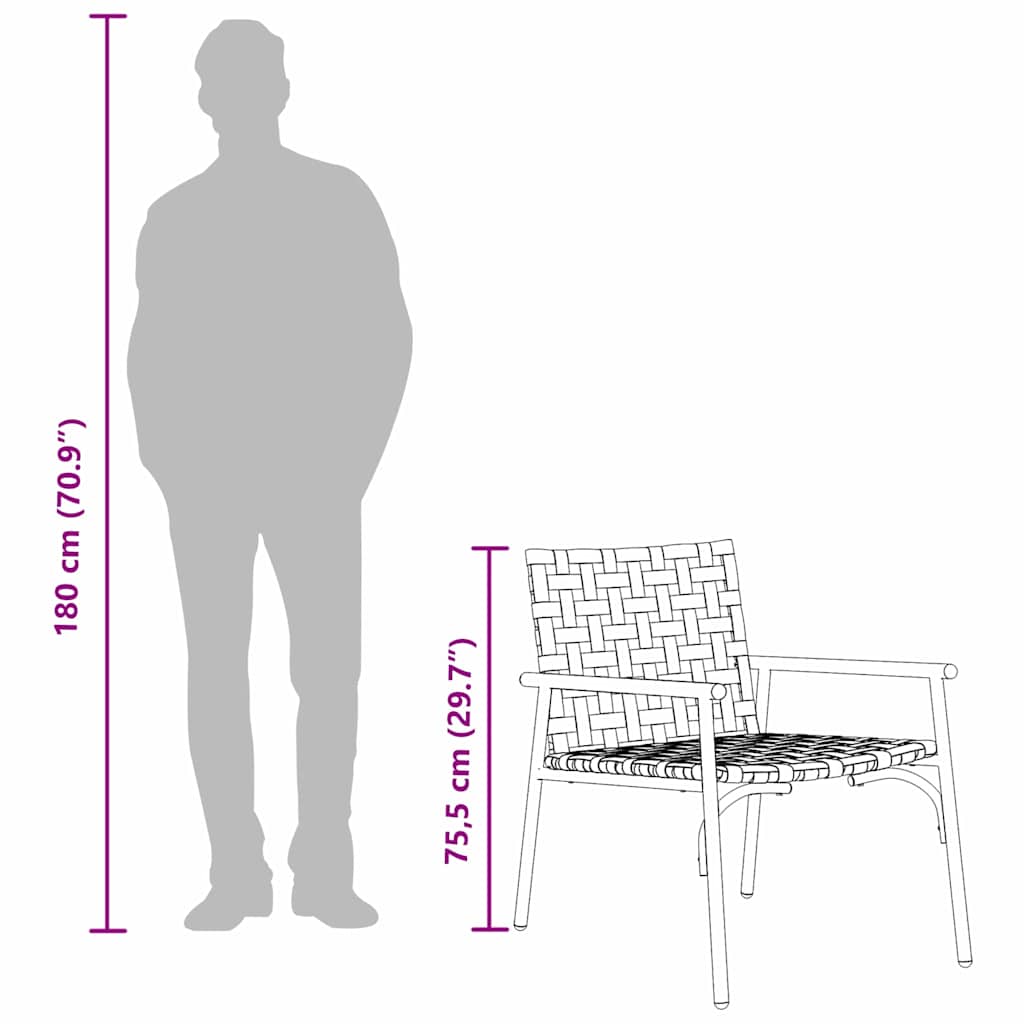 Garden Chair 2 pcs Black 79 x 56 x 73.5cm Poly Rattan