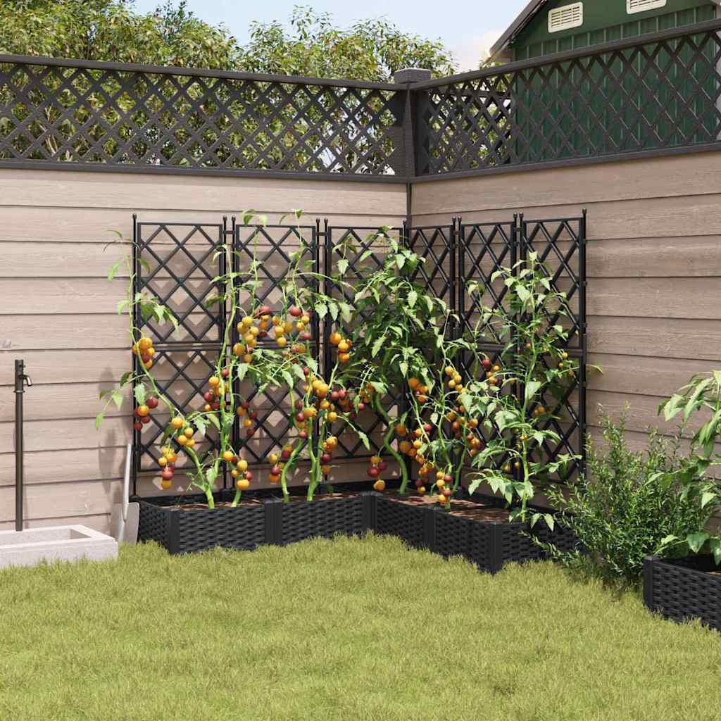 Garden Planter with Trellis 5 pcs Black 120 x 120 x 125.5 cm PP