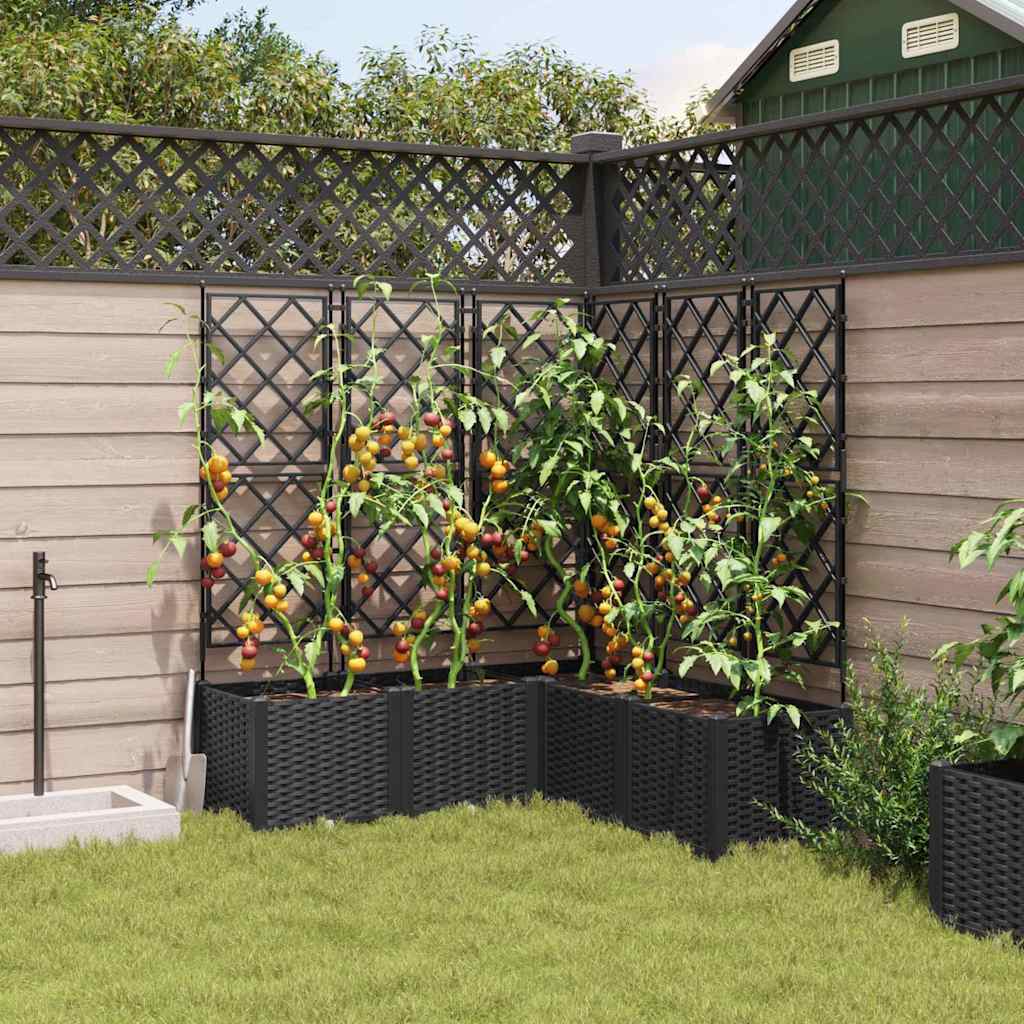 Garden Planter with Trellis 5 pcs Black 120 x 120 x 143 cm PP