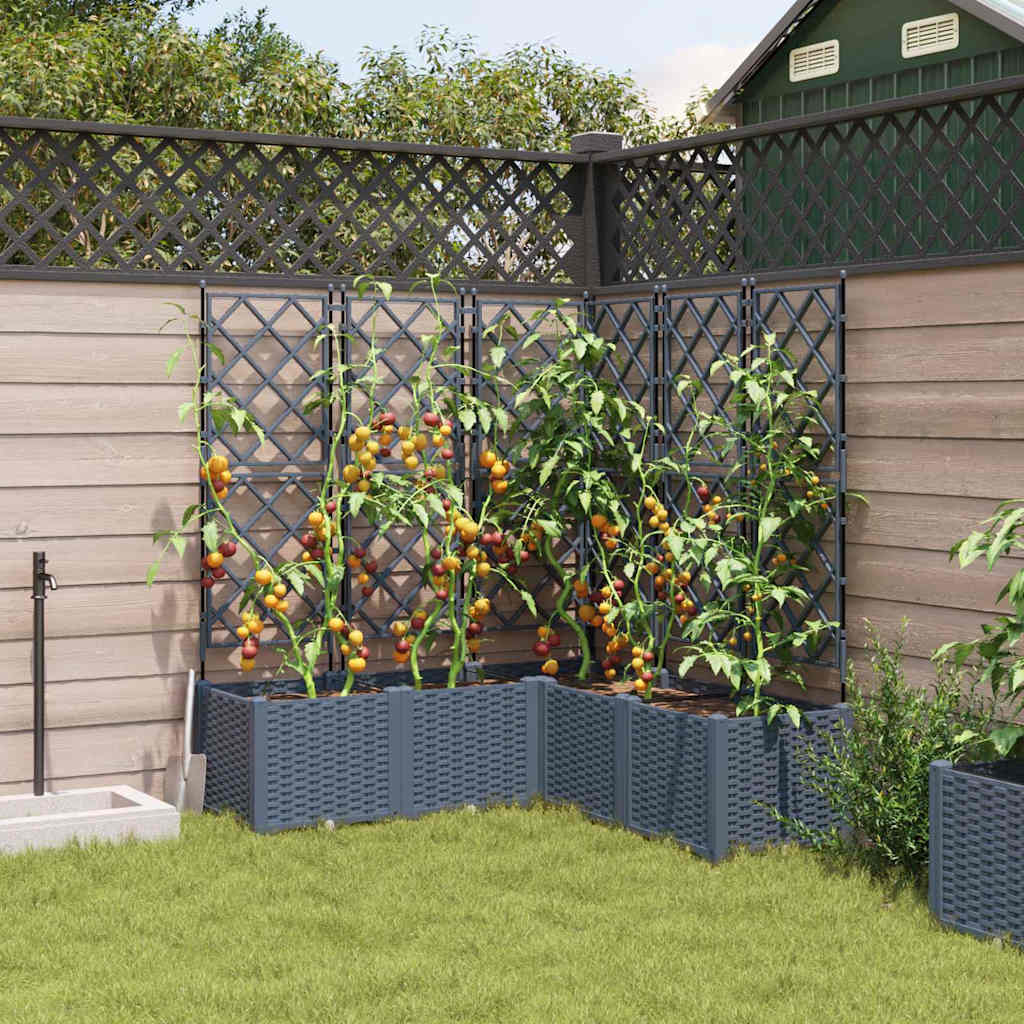 Garden Planter with Trellis 5 pcs Light grey 120 x 120 x 143 cm