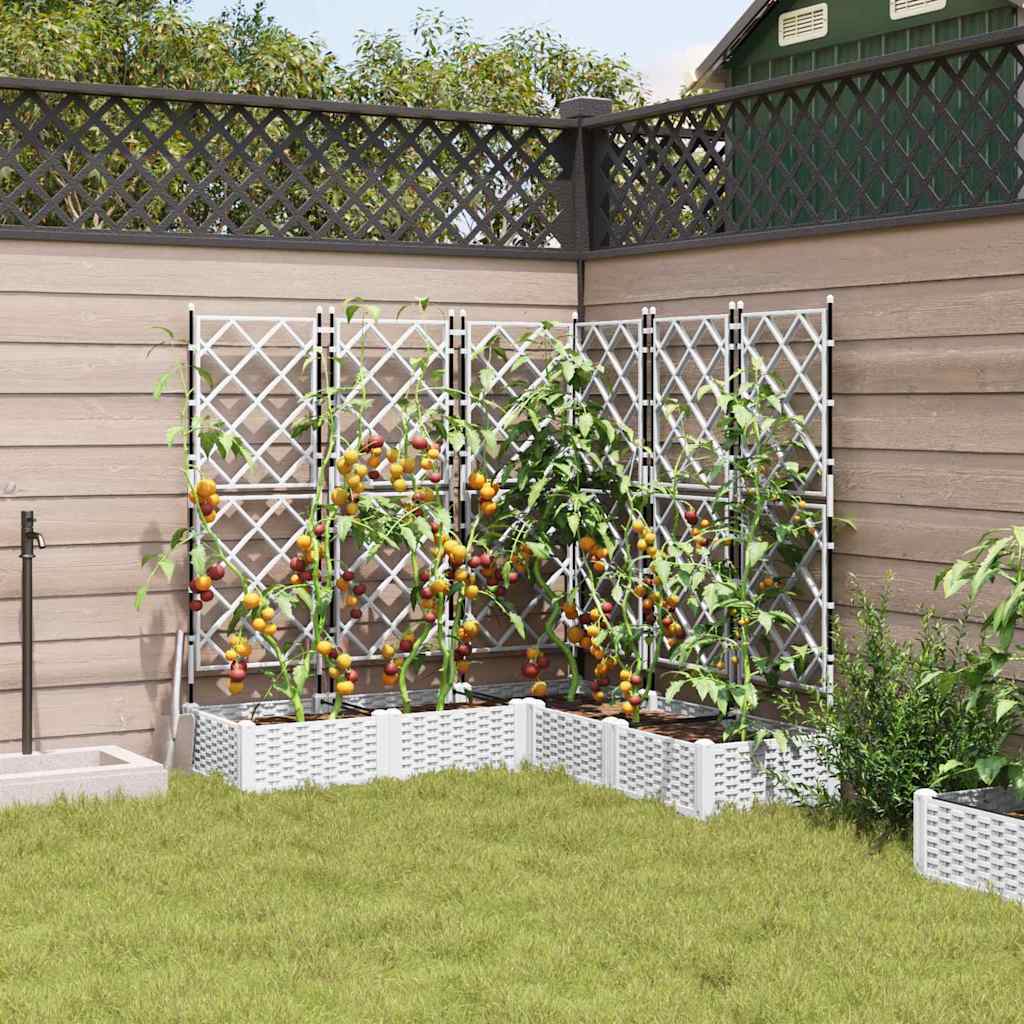 Garden Planter with Trellis 5 pcs White 120 x 120 x 125.5 cm PP