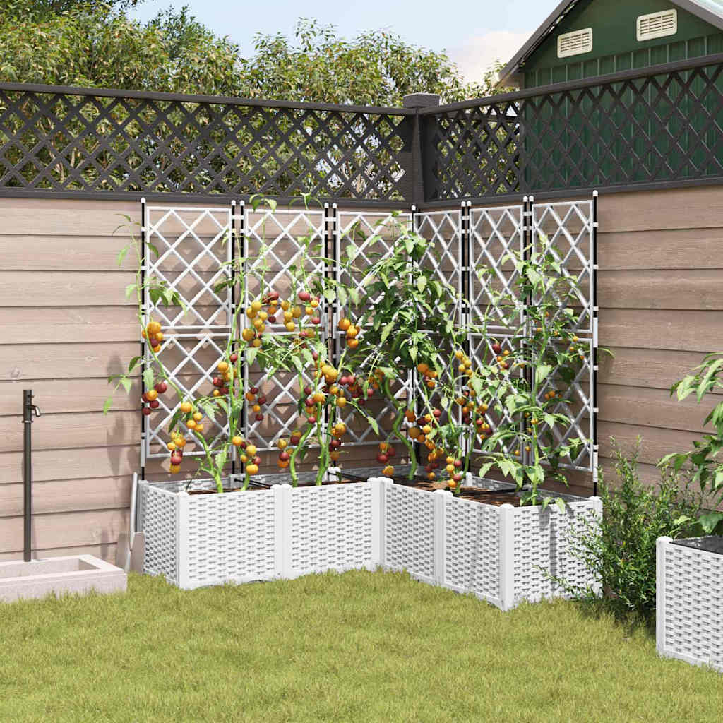 Garden Planter with Trellis 5 pcs White 120 x 120 x 143 cm PP