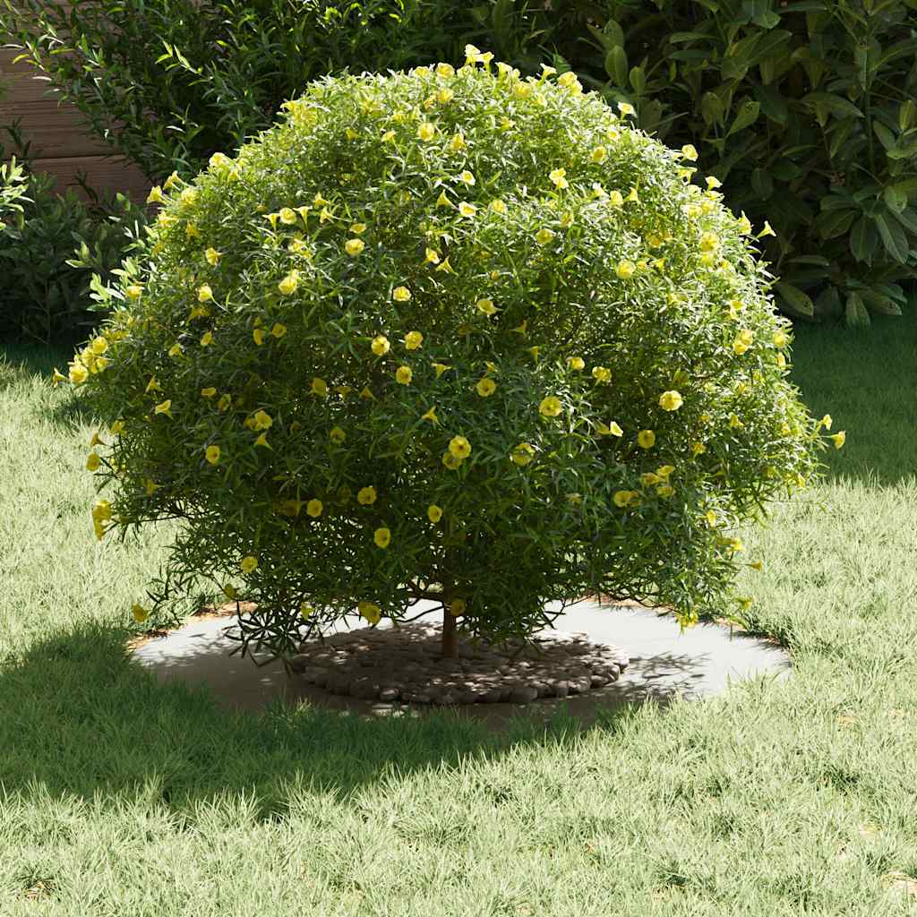 suitable for Flat Tree Ring White Ø30 / 60 cm Steel