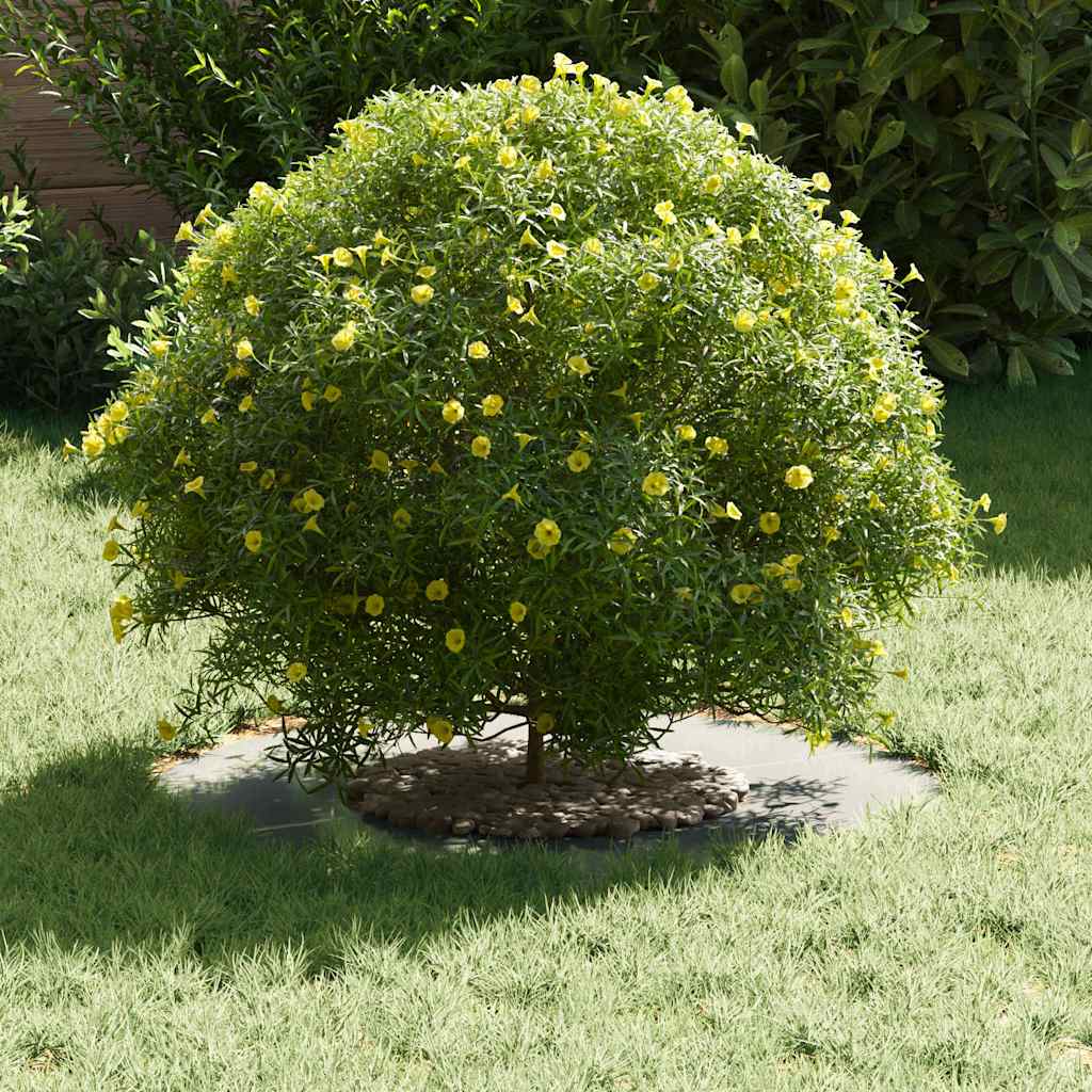 suitable for Flat Tree Ring Silver Ø30 / 60 cm Galvanised steel