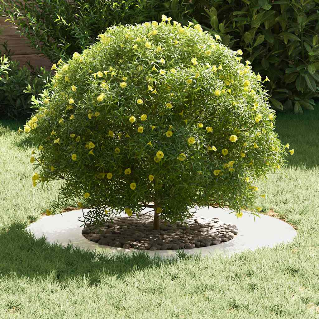 suitable for Flat Tree Rings 5 pcs Silver Ø40 / 70 cm