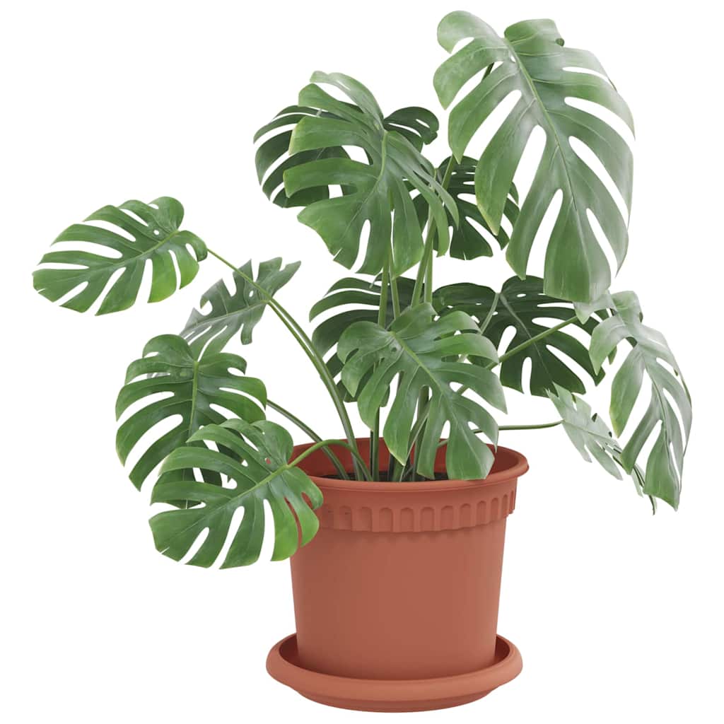 Round Flower Tray 24 pcs Brick Red Ø 14 x 2 cm Plastic