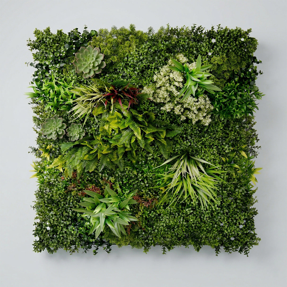 Tropical Fern Fusion – 1m Artificial Living Wall Panel