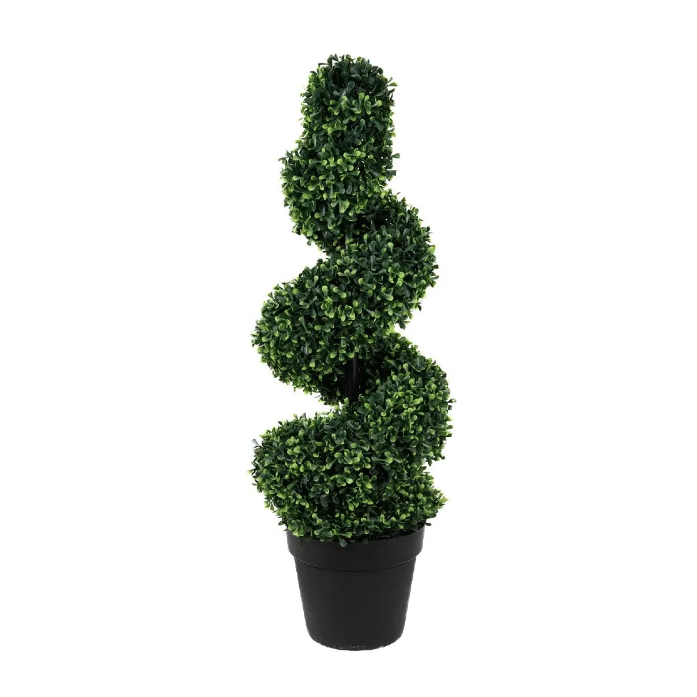 Solar Twist Topiary in Pot