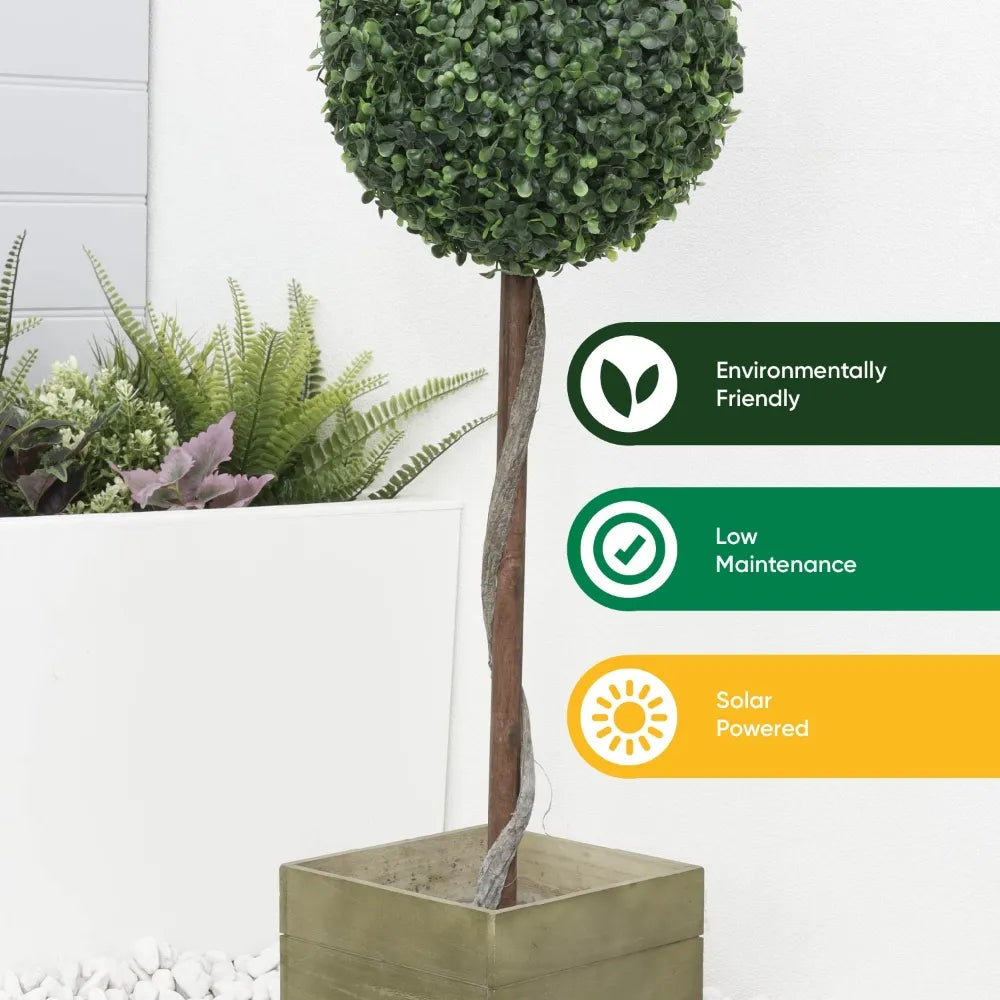 Solar Single Bay Ball Tree In Pot