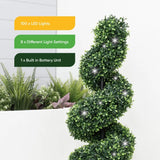 Solar Twist Topiary in Pot