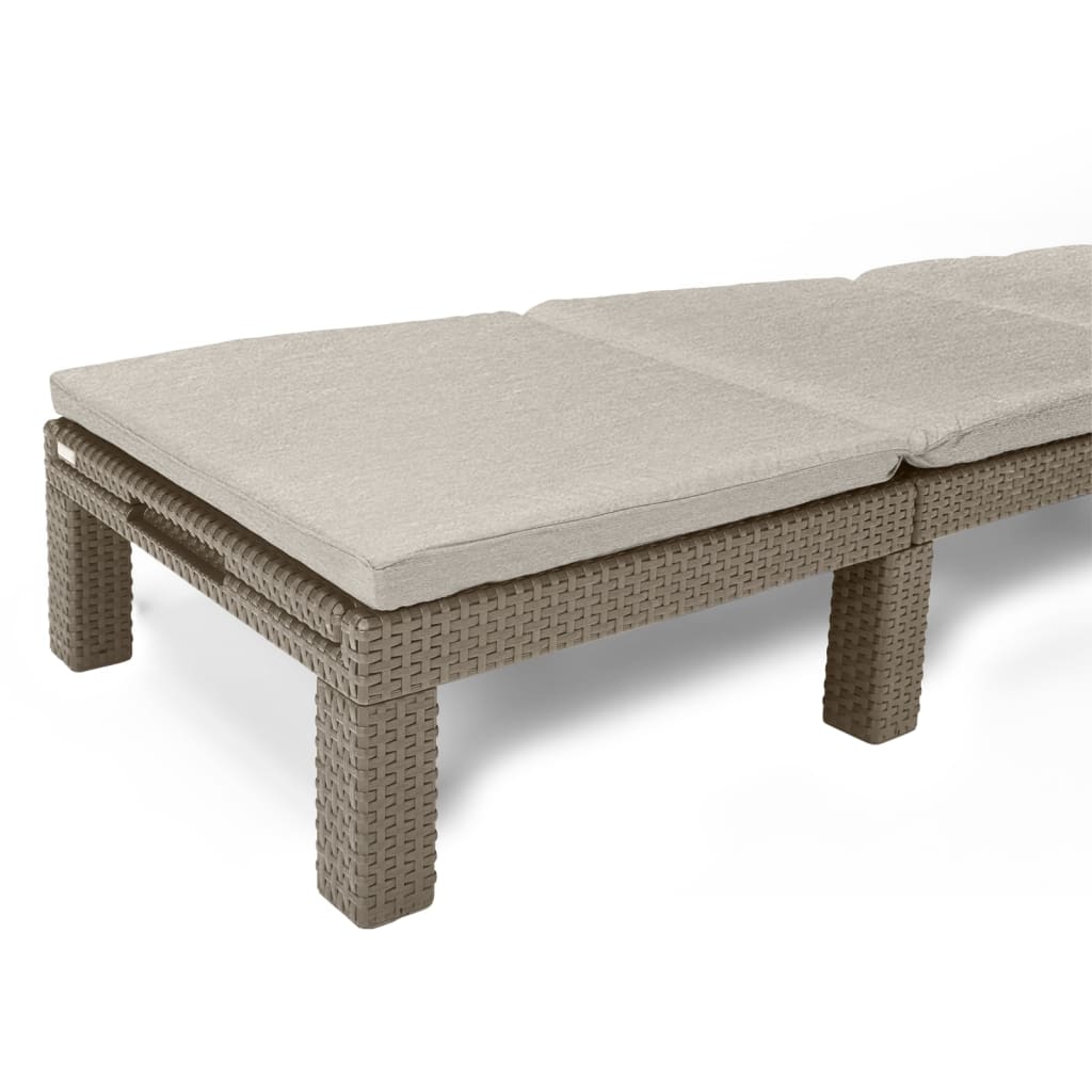 Sunlounger with Cushion Daytona Cappuccino