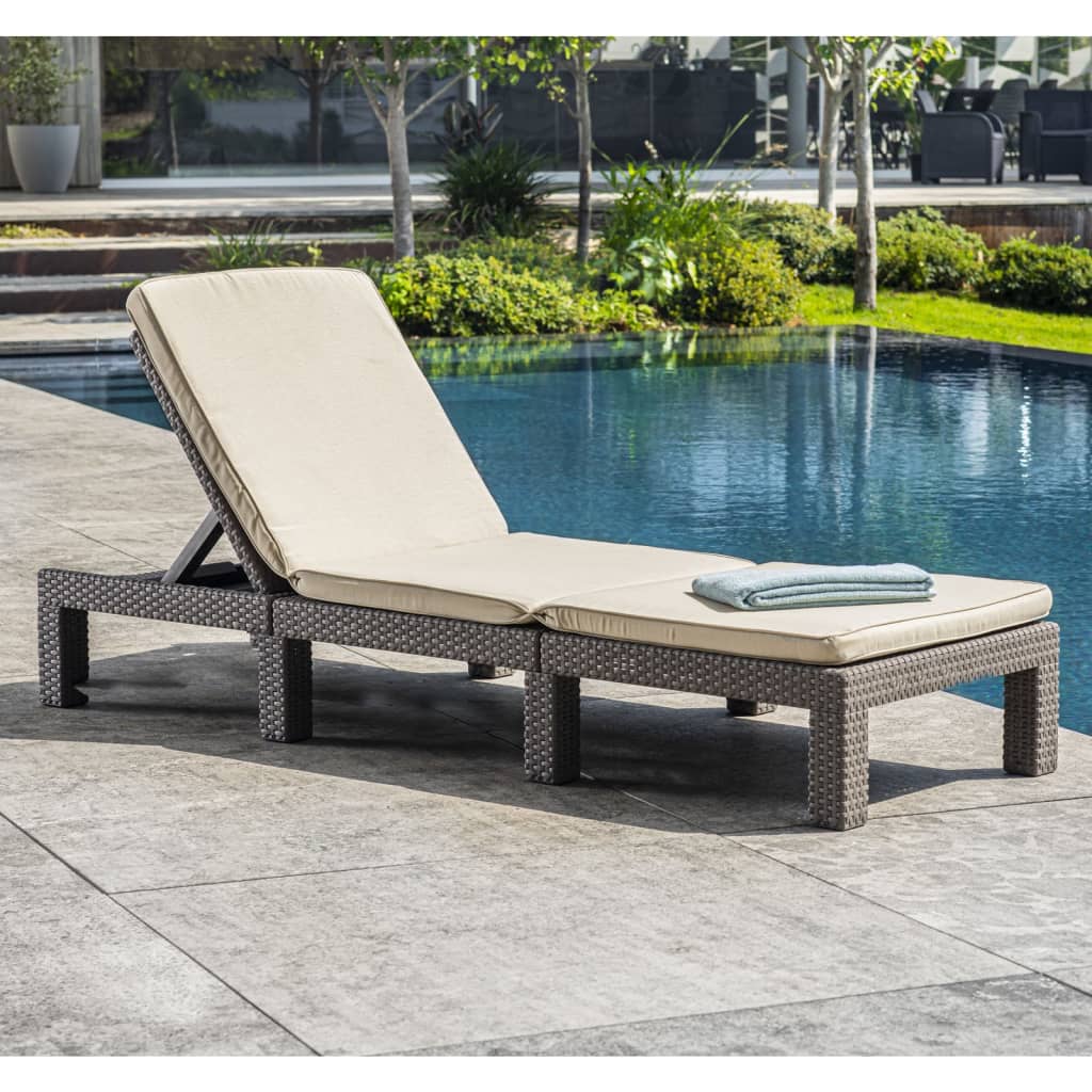 Sunlounger with Cushion Daytona Cappuccino