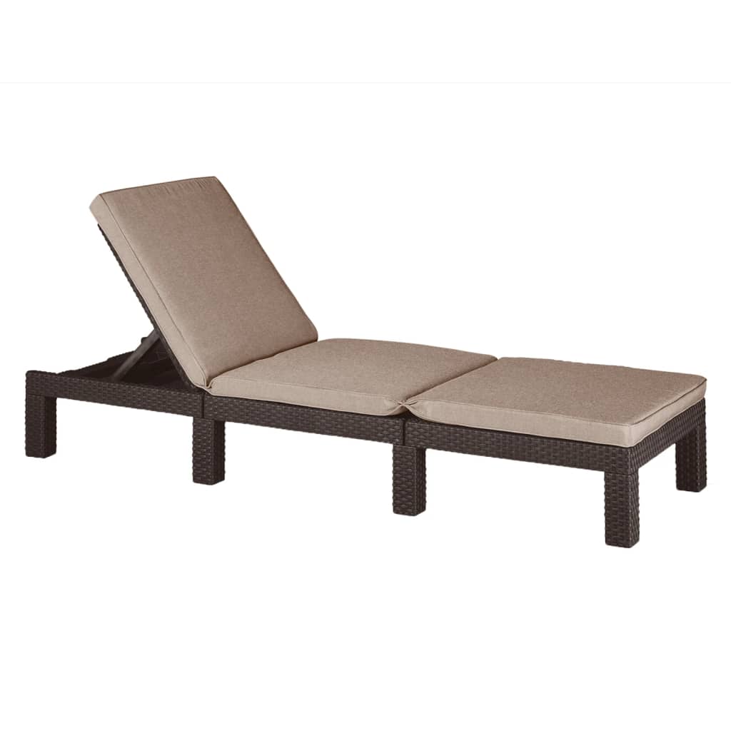 Sunlounger with Cushion Daytona Brown