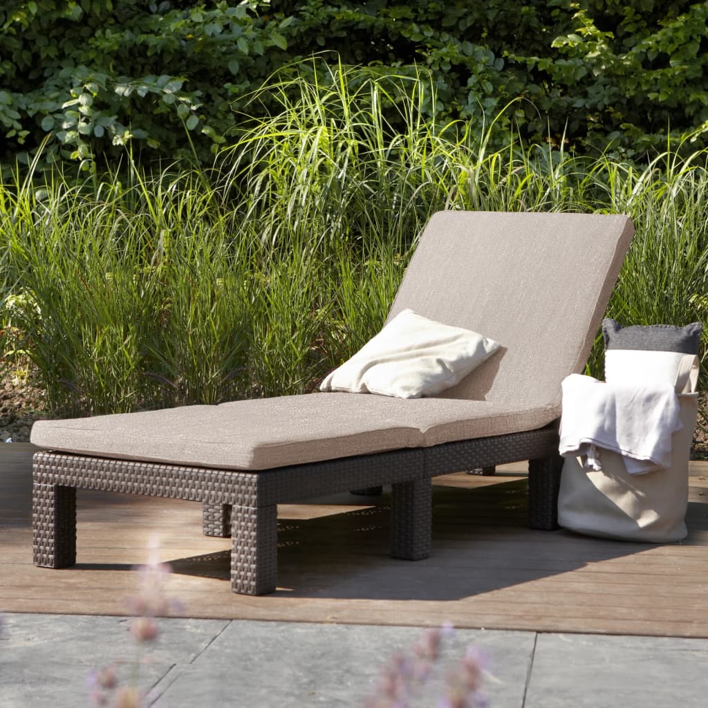 Sunlounger with Cushion Daytona Brown