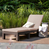 Sunlounger with Cushion Daytona Brown