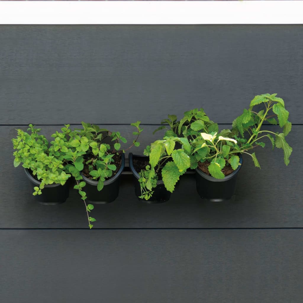 Vertical Garden/Herb and Flower Kit