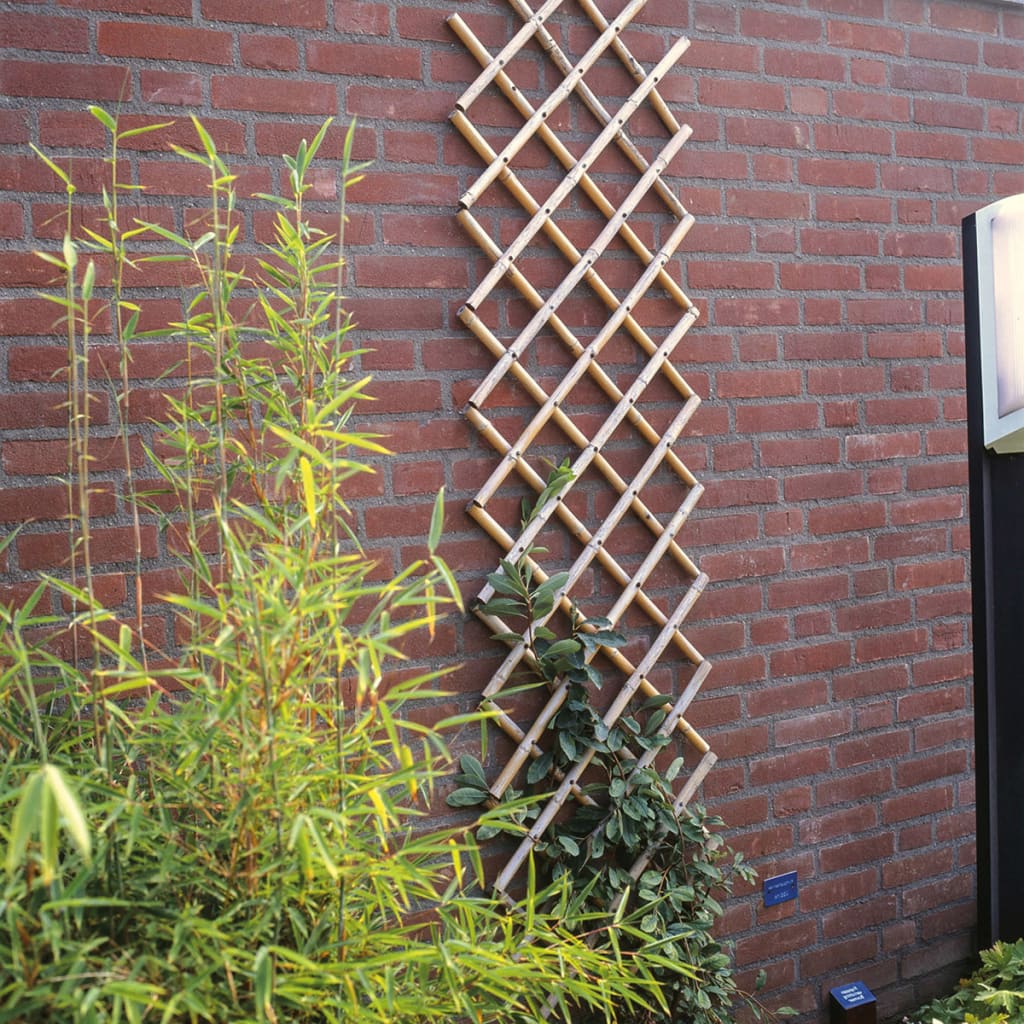 Garden Trellis 70x180 cm Bamboo 6040721
