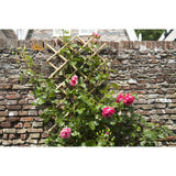 Garden Trellis 70x180 cm Bamboo 6040721