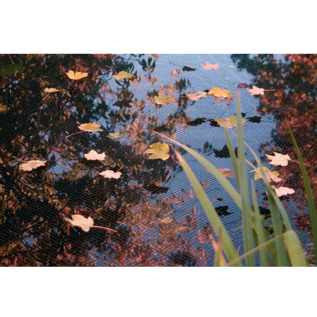Pond Cover Net PE 3x4 m 1371341