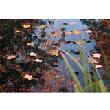 Pond Cover Net PE 3x4 m 1371341