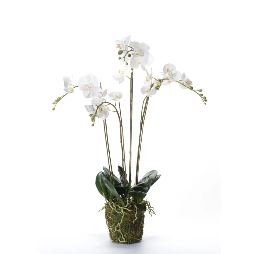 Artificial Phalaenopsis with Moss White 90 cm 20.355