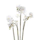 Artificial Phalaenopsis with Moss White 90 cm 20.355