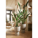 Artificial Heliconia Plant Green 125 cm 419837