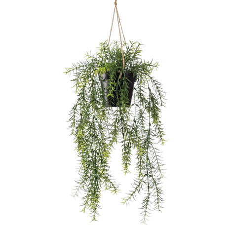 Artificial Asparagus Hanging Bush 50 cm in Pot