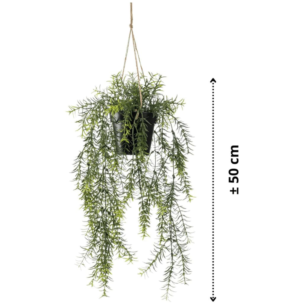 Artificial Asparagus Hanging Bush 50 cm in Pot