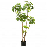 Artificial Polyscias Tree 135 cm 420292